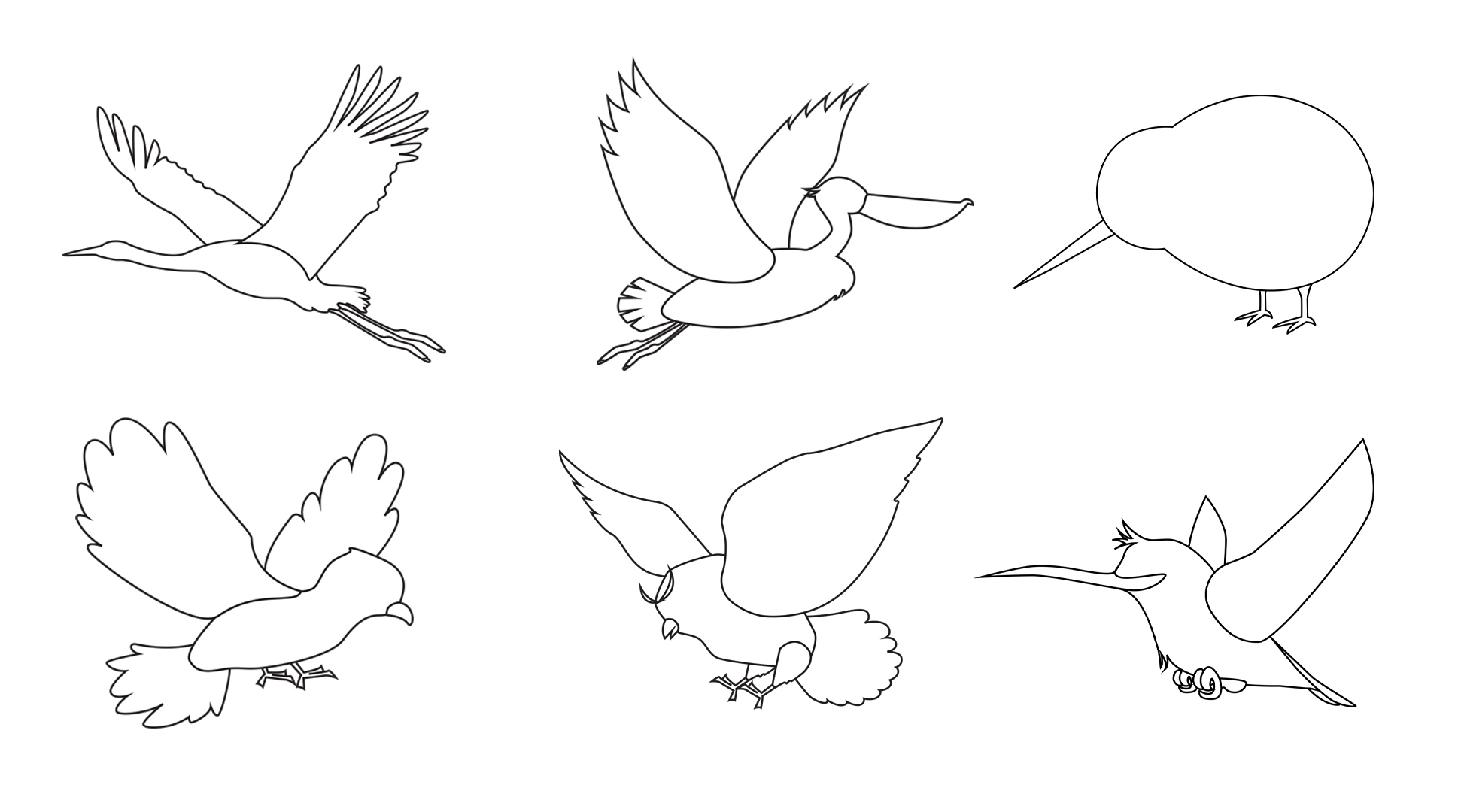 Bird outline sheets designed in Illustrator